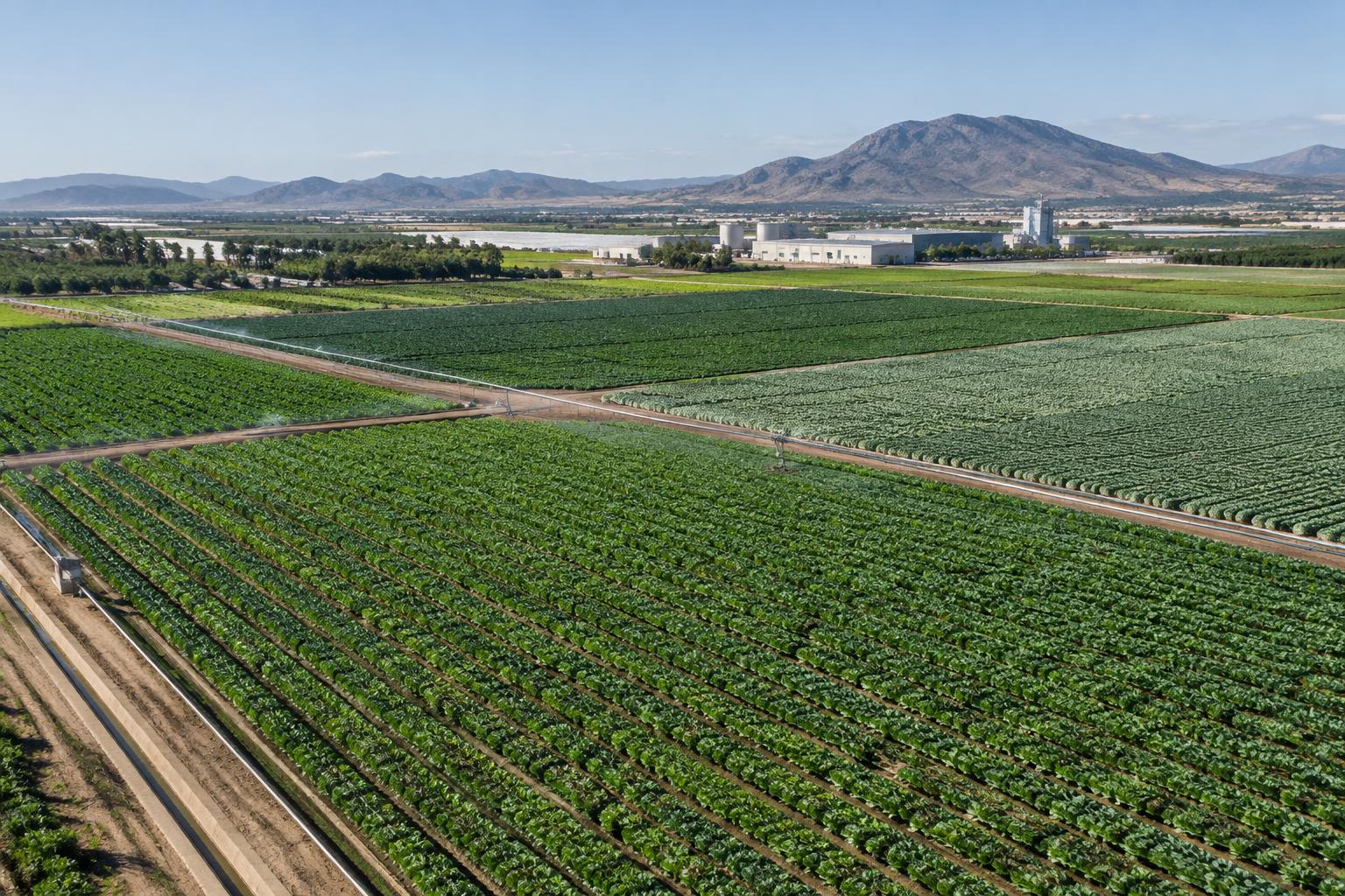 Agroalimentario: imagen de referencia